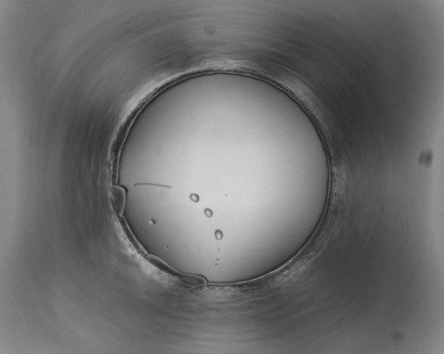 X0000115301046200911161653