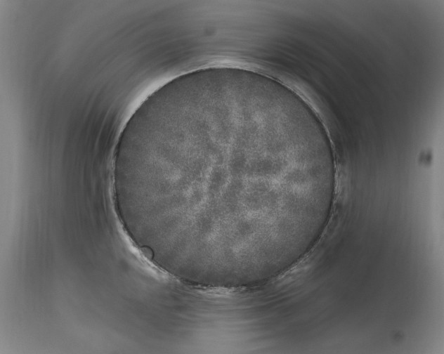 X0000115301048200911161653