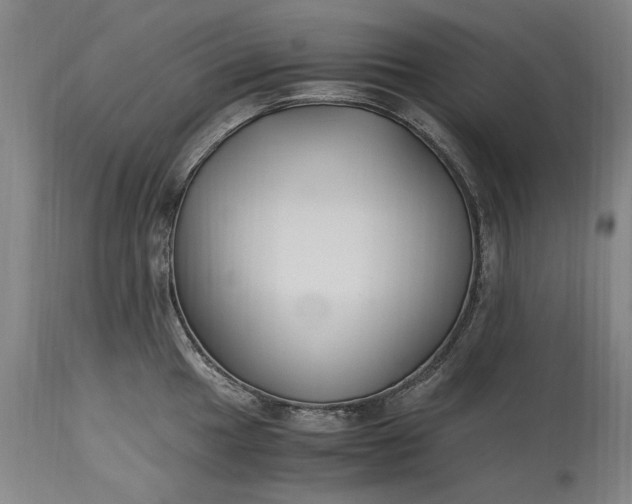 X0000115301049200911161653