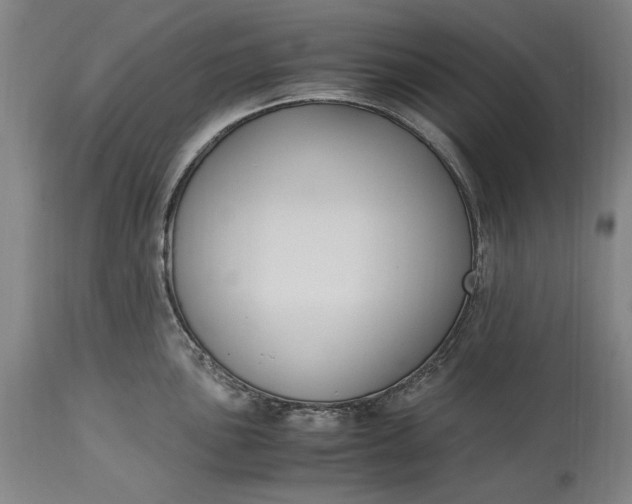 X0000115301051200911161653