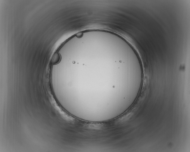 X0000115301053200911161653