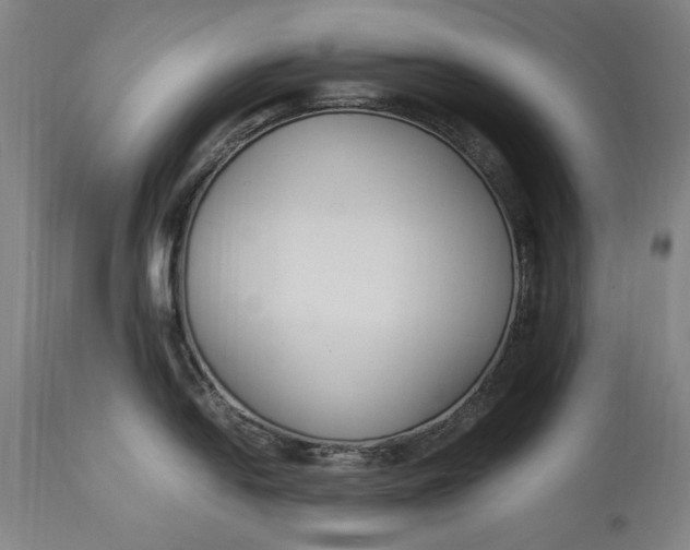 X0000115301054200911161653