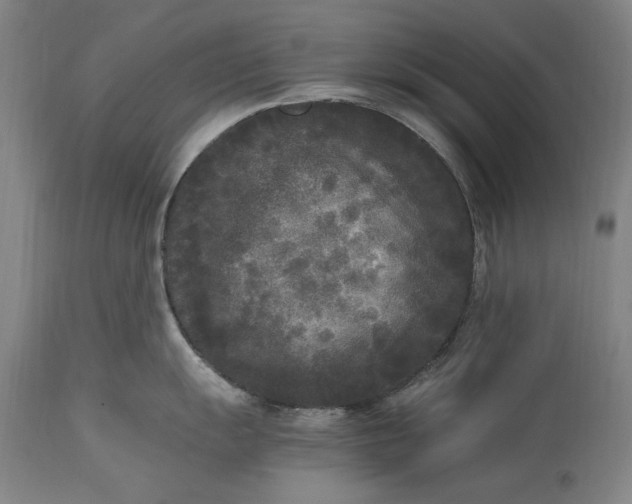 X0000115301055200911161653