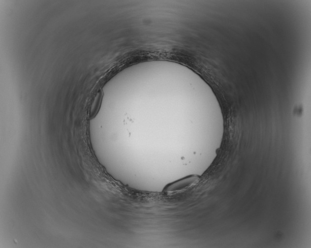 X0000115301057200911161652