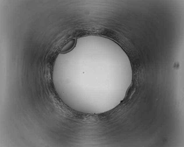 X0000115301058200911161652