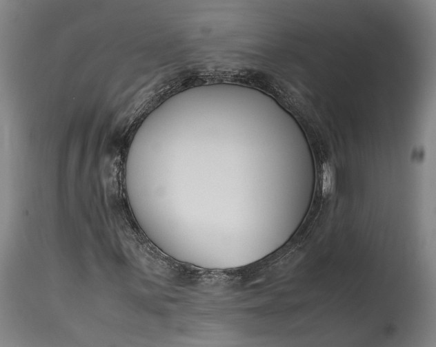 X0000115301059200911161652