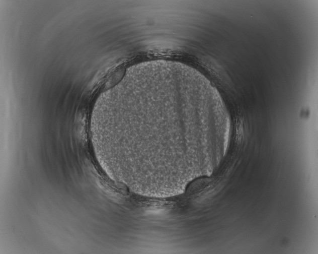 X0000115301060200911161652