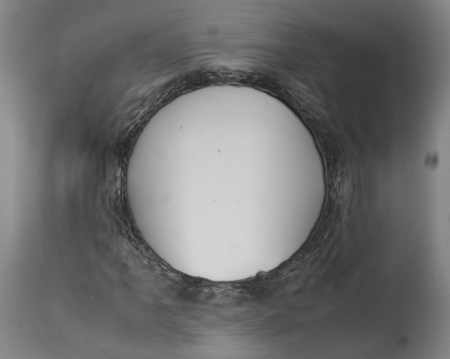 X0000115301061200911161652