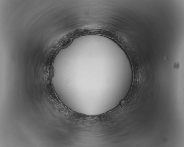 X0000115301062200911161652