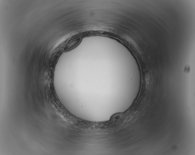 X0000115301064200911161652