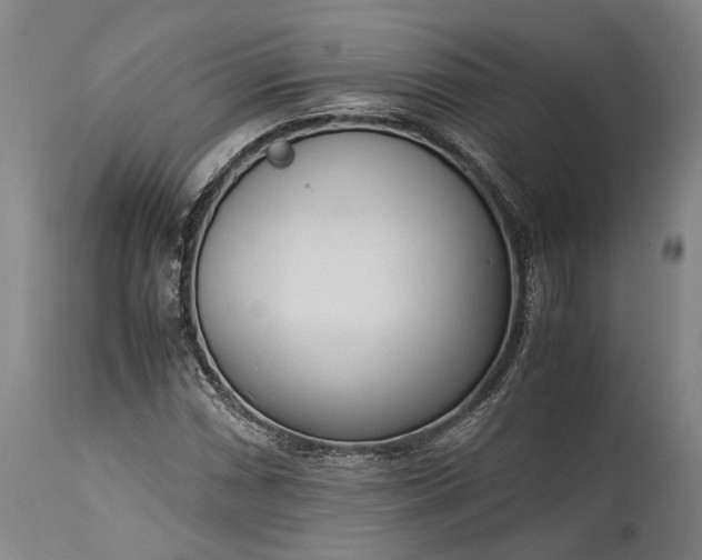 X0000115301066200911161652