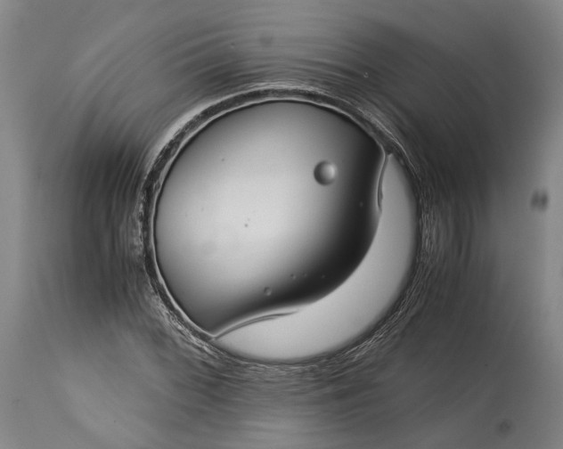 X0000115301068200911161652