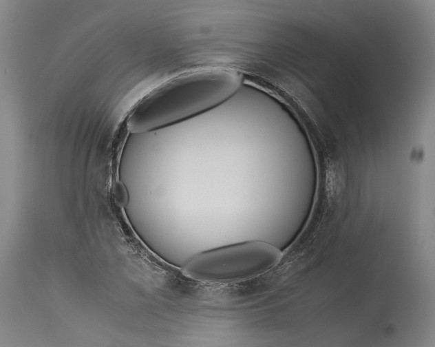 X0000115301069200911161652