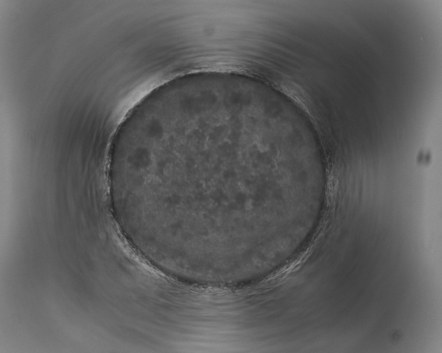 X0000115301071200911161652