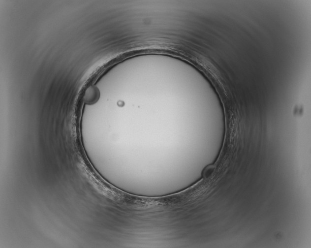 X0000115301072200911161652