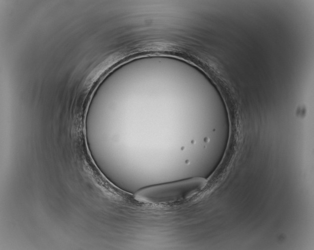 X0000115301073200911161652