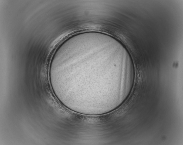 X0000115301074200911161652