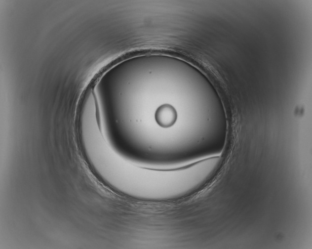 X0000115301077200911161652