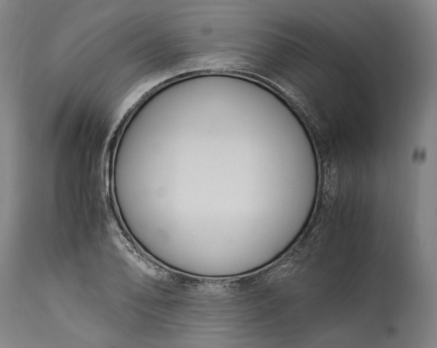 X0000115301078200911161652