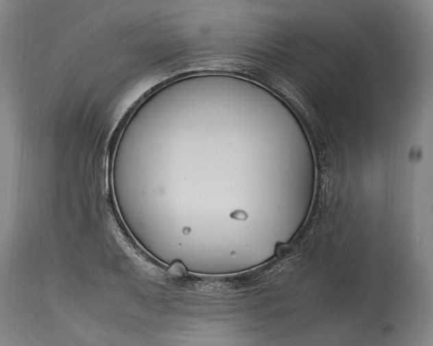 X0000115301079200911161652