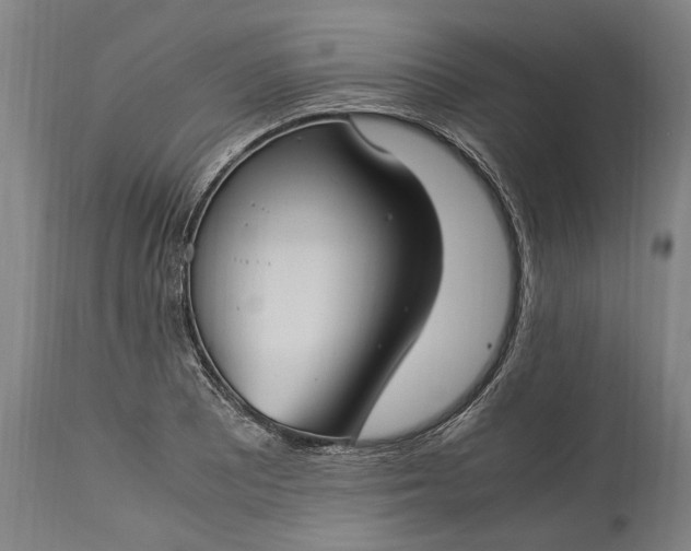 X0000115301081200911161652