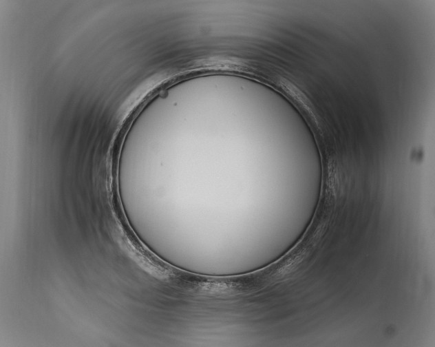 X0000115301082200911161652