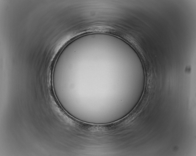 X0000115301083200911161652