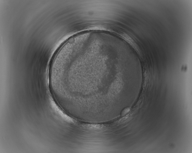 X0000115301084200911161652