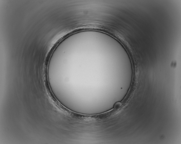 X0000115301085200911161652