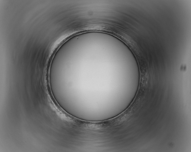 X0000115301086200911161652