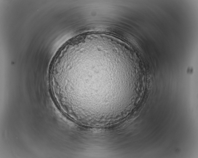 X0000115301087200911161652