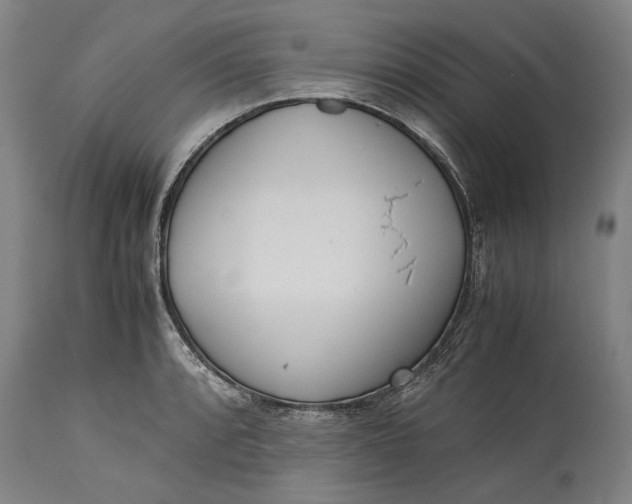 X0000115301088200911161652