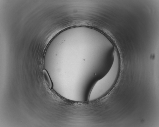 X0000115301089200911161652