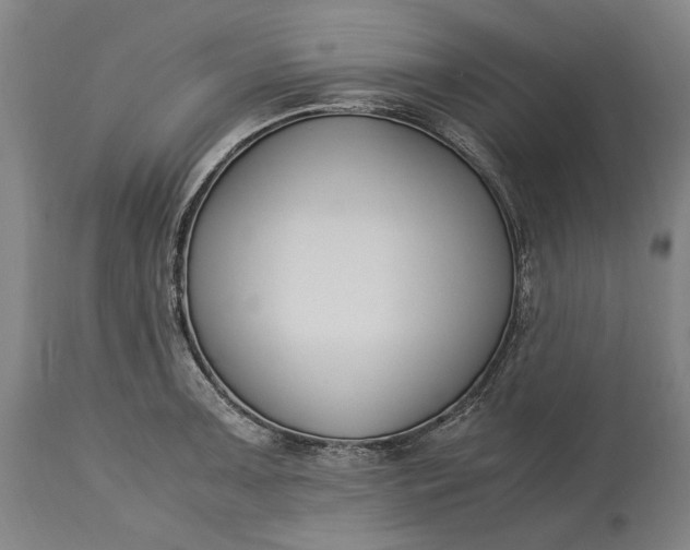 X0000115301091200911161652