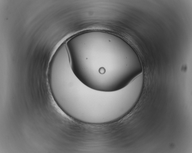 X0000115301092200911161652