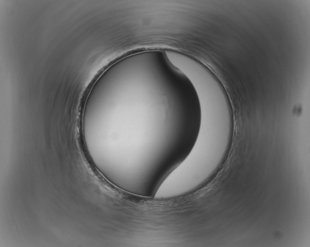 X0000115301093200911161652