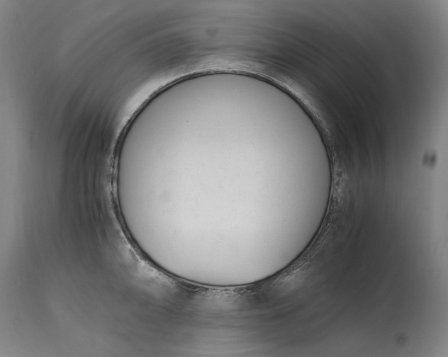 X0000115301094200911161652