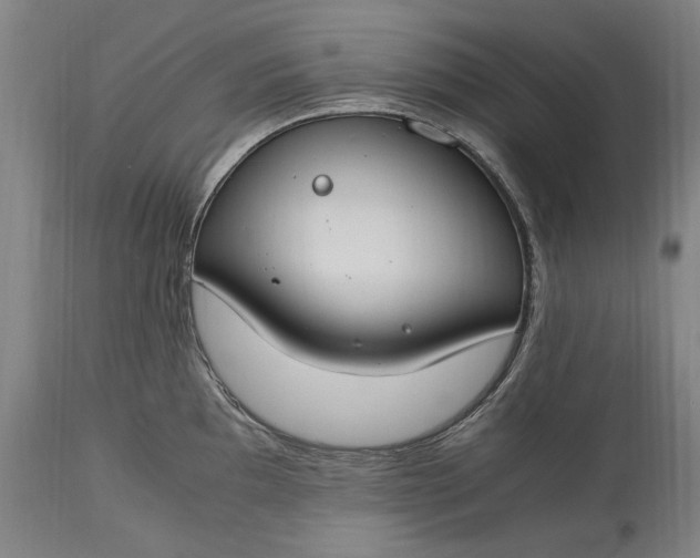 X0000115301097200911161652