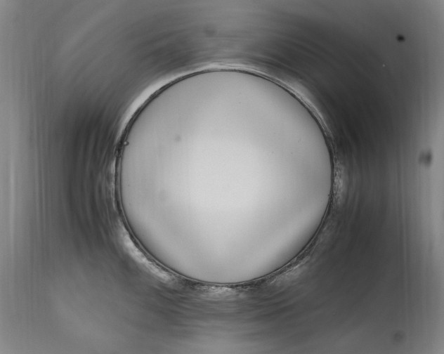 X0000115301100200911161652