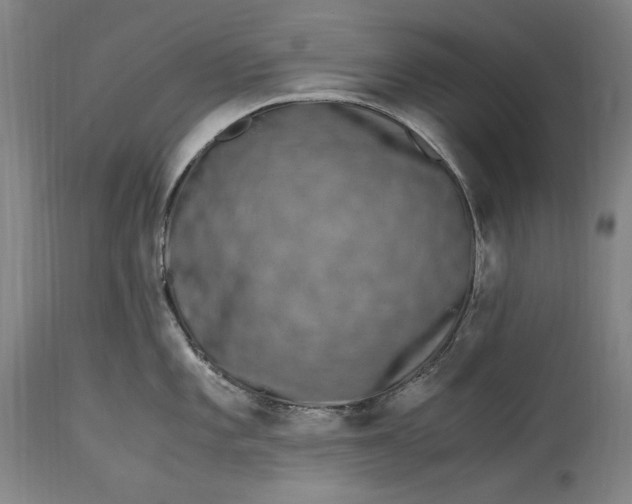 X0000115301101200911161652