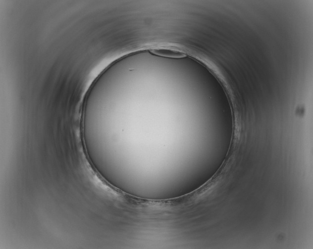 X0000115301102200911161652