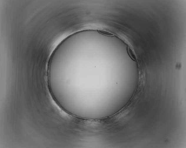 X0000115301103200911161652