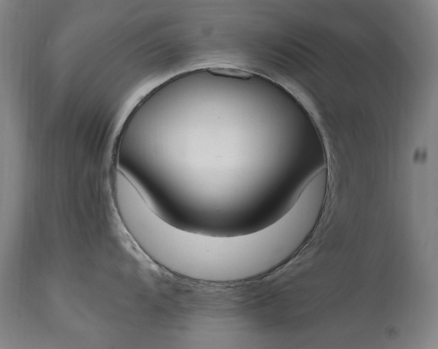 X0000115301104200911161652