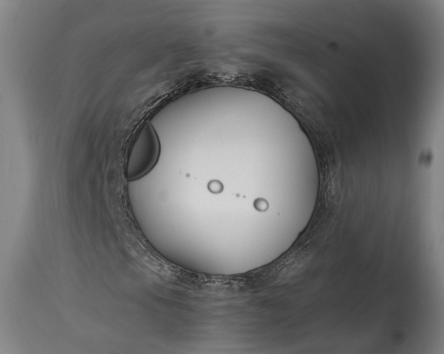 X0000115301105200911161651