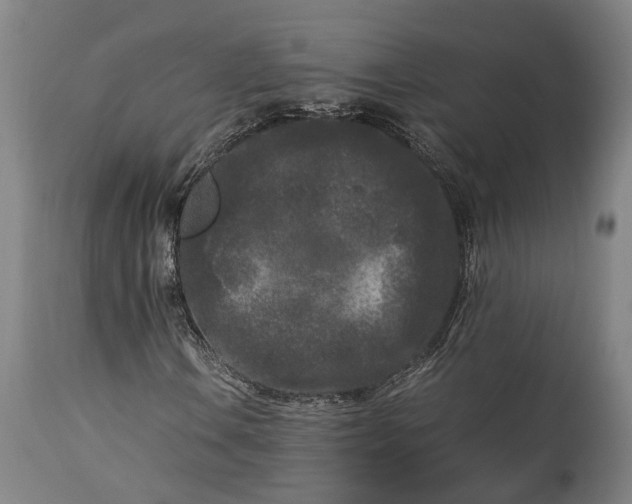 X0000115301106200911161651