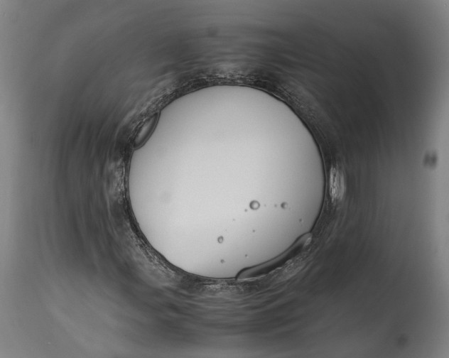 X0000115301107200911161651