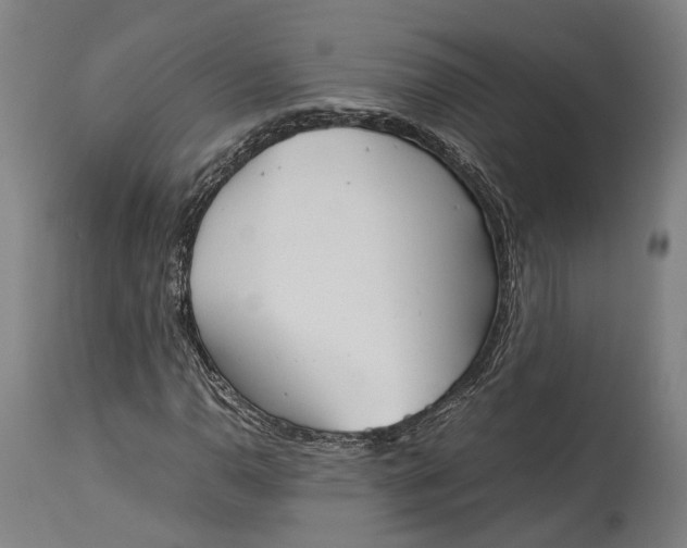 X0000115301110200911161651