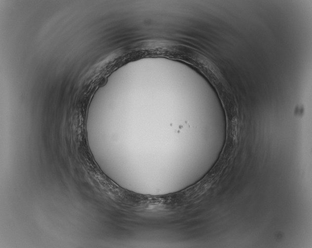 X0000115301111200911161651