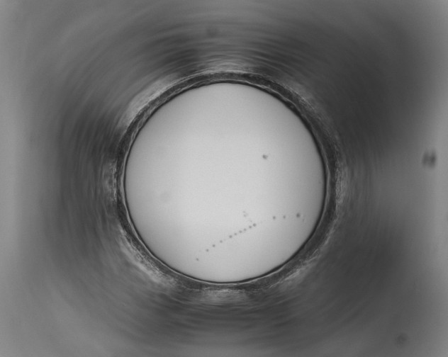 X0000115301113200911161651