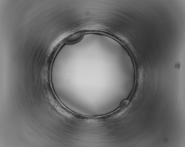 X0000115301114200911161651